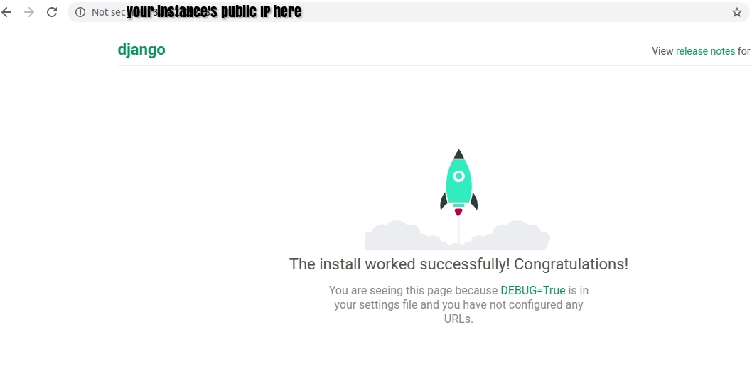 aws public ip access django app
