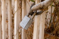 How to reset Django superuser password